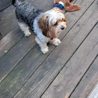 processed/bb2bc01b-9a43-4fab-b0aa-b27b72eab474/facility/5eb9f789-c74f-455f-a1d0-124c43f9d260