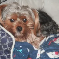 processed/bb2bc01b-9a43-4fab-b0aa-b27b72eab474/facility/79c37b13-4b42-48e6-8b9d-c11765ae11b4