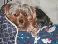 processed/bb2bc01b-9a43-4fab-b0aa-b27b72eab474/facility/79c37b13-4b42-48e6-8b9d-c11765ae11b4