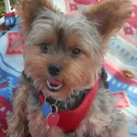 processed/bb2bc01b-9a43-4fab-b0aa-b27b72eab474/facility/824fca84-a680-4d94-83ed-a4e9f7556620