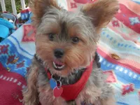 processed/bb2bc01b-9a43-4fab-b0aa-b27b72eab474/facility/824fca84-a680-4d94-83ed-a4e9f7556620