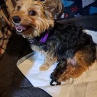 processed/bb2bc01b-9a43-4fab-b0aa-b27b72eab474/facility/83ee05cd-9ad6-4b9e-9534-949c15a8f19a