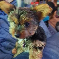 processed/bb2bc01b-9a43-4fab-b0aa-b27b72eab474/facility/8b3c47b3-8869-4765-8012-1f8ead01baca