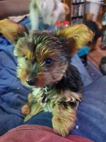 processed/bb2bc01b-9a43-4fab-b0aa-b27b72eab474/facility/8b3c47b3-8869-4765-8012-1f8ead01baca