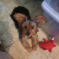 processed/bb2bc01b-9a43-4fab-b0aa-b27b72eab474/facility/ce8a93b5-4f6d-453c-b913-6eab8b5475a8