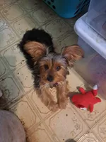 processed/bb2bc01b-9a43-4fab-b0aa-b27b72eab474/facility/ce8a93b5-4f6d-453c-b913-6eab8b5475a8