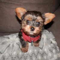 processed/bb2bc01b-9a43-4fab-b0aa-b27b72eab474/facility/e0579903-10ca-4ec4-a914-7939c090bf80