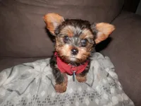 processed/bb2bc01b-9a43-4fab-b0aa-b27b72eab474/facility/e0579903-10ca-4ec4-a914-7939c090bf80