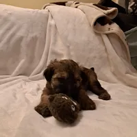 processed/bb2c8078-0c2d-41a5-b094-7e6885644acd/listing/84eb88a2-8c48-4811-aea0-99e6be266693/a9e90b04-8a90-4824-98c1-f27f8a2cffce