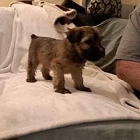 processed/bb2c8078-0c2d-41a5-b094-7e6885644acd/listing/84eb88a2-8c48-4811-aea0-99e6be266693/d49958e1-da95-477d-8298-a5a45af348fd