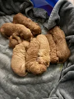Facility photo