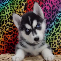 processed/bb3316c4-7439-47b9-a889-1e70c797c688/facility/ca080545-7a15-4296-aba2-9d1d7fd98c0f