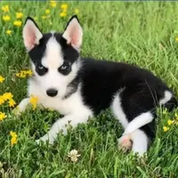 processed/bb3316c4-7439-47b9-a889-1e70c797c688/facility/f2171bac-9401-4450-8dc9-4f7720a6a78f