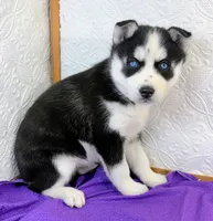 processed/bb3316c4-7439-47b9-a889-1e70c797c688/listing/07ca9fe3-53dc-4d36-800b-d8a4b7b9af82/1f6abbc8-b9d5-46f9-b9bf-7bbf902329f3