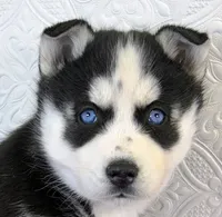 processed/bb3316c4-7439-47b9-a889-1e70c797c688/listing/07ca9fe3-53dc-4d36-800b-d8a4b7b9af82/b612638b-cdd9-4370-91e4-4ab4d785ddbd