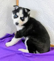 processed/bb3316c4-7439-47b9-a889-1e70c797c688/listing/07ca9fe3-53dc-4d36-800b-d8a4b7b9af82/c75c3ae3-8e33-4b25-8a4e-9f206f91d26b