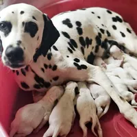 processed/bb35077c-5a24-4a83-989a-3d1ff36adc56/facility/39145cb2-20e5-4ed3-aa19-18554869ca08