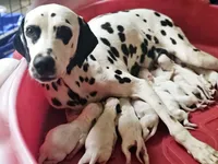 processed/bb35077c-5a24-4a83-989a-3d1ff36adc56/facility/39145cb2-20e5-4ed3-aa19-18554869ca08