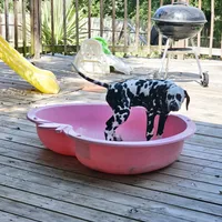 processed/bb35077c-5a24-4a83-989a-3d1ff36adc56/facility/609c808f-6498-4abc-9c3f-c6a3861754ee