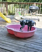 processed/bb35077c-5a24-4a83-989a-3d1ff36adc56/facility/609c808f-6498-4abc-9c3f-c6a3861754ee