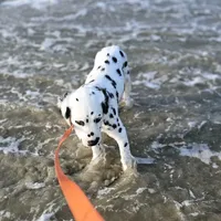 processed/bb35077c-5a24-4a83-989a-3d1ff36adc56/facility/8a4783ec-0065-4748-a741-cfc0675e12a2