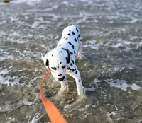 processed/bb35077c-5a24-4a83-989a-3d1ff36adc56/facility/8a4783ec-0065-4748-a741-cfc0675e12a2