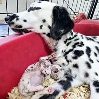 processed/bb35077c-5a24-4a83-989a-3d1ff36adc56/facility/ce9a194d-fb17-4e1a-ae93-1284456229db