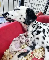 processed/bb35077c-5a24-4a83-989a-3d1ff36adc56/facility/ce9a194d-fb17-4e1a-ae93-1284456229db