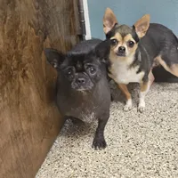 processed/bb35077c-5a24-4a83-989a-3d1ff36adc56/facility/eaffca93-6011-427f-800b-cff4bfeaf899