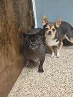 processed/bb35077c-5a24-4a83-989a-3d1ff36adc56/facility/eaffca93-6011-427f-800b-cff4bfeaf899