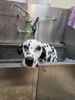 processed/bb35077c-5a24-4a83-989a-3d1ff36adc56/listing/14ddb837-e840-4a0e-aee3-4c0051481c4d/406aca61-17e3-4389-947b-9ff481a55364