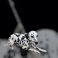 processed/bb35077c-5a24-4a83-989a-3d1ff36adc56/listing/14ddb837-e840-4a0e-aee3-4c0051481c4d/61ff2cbd-daf7-43d9-87a4-091c478cbf36