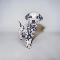 Cora, a female Dalmatian for sale in San Antonio, TX – 1 of 4