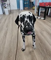 processed/bb35077c-5a24-4a83-989a-3d1ff36adc56/listing/a9bfdb3d-3758-4383-ba5d-ed750067fdf0/1b11c851-cb75-4a4b-818b-efd6b068d63b