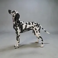 Akc Salty, a female Dalmatian for sale in San Antonio, TX – Photo 4 of 4