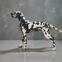 Akc Salty, a female Dalmatian for sale in San Antonio, TX – Photo 1 of 4