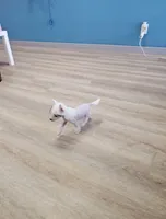 processed/bb35077c-5a24-4a83-989a-3d1ff36adc56/listing/ad1aad67-d32d-483e-85e3-bcf027ba4931/191f3789-a82c-4485-84cf-8faaddcff4a9