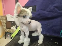 processed/bb35077c-5a24-4a83-989a-3d1ff36adc56/listing/ad1aad67-d32d-483e-85e3-bcf027ba4931/4224a78b-497e-45a5-889b-451232f6ccb8