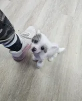 processed/bb35077c-5a24-4a83-989a-3d1ff36adc56/listing/ad1aad67-d32d-483e-85e3-bcf027ba4931/6f334428-4197-42b7-accc-dc982d4d4e96