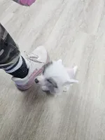 processed/bb35077c-5a24-4a83-989a-3d1ff36adc56/listing/ad1aad67-d32d-483e-85e3-bcf027ba4931/82e704e4-cd88-4a08-953b-bdba404f4273