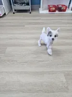 processed/bb35077c-5a24-4a83-989a-3d1ff36adc56/listing/ad1aad67-d32d-483e-85e3-bcf027ba4931/bf5eed12-7fef-4bb1-af4b-89cbb242deb2