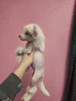 processed/bb35077c-5a24-4a83-989a-3d1ff36adc56/listing/ad1aad67-d32d-483e-85e3-bcf027ba4931/ea1e7384-cb93-431c-92f6-84dd88d88463