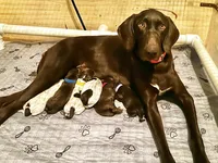 processed/bb393f20-5c49-4d4a-8c87-bbf577f72aba/facility/6e8b597a-2877-47cd-9b1f-3f0f813d8ba9