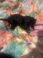 processed/bb43a6fb-43bc-4751-abd6-1d26d58d5c9a/listing/8c8600cc-2f43-48f6-813c-075c79ddca9f/382cef35-ab2d-4be7-b688-2788cbdde3a8