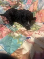 processed/bb43a6fb-43bc-4751-abd6-1d26d58d5c9a/listing/8c8600cc-2f43-48f6-813c-075c79ddca9f/fa76b20b-1814-484e-89d2-0913501bc535