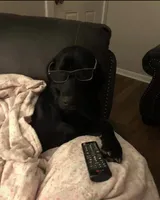 processed/bb4ee086-9f1f-4390-837f-5e771dd9a0fa/facility/1fc21960-27dd-40eb-9047-427e6035de79