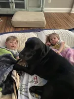 processed/bb4ee086-9f1f-4390-837f-5e771dd9a0fa/facility/51b40b63-bdc0-4b8c-8ff4-77ba675166a6