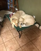 processed/bb4ee086-9f1f-4390-837f-5e771dd9a0fa/facility/865bd2ef-40ce-4838-83f9-6c0596021e15