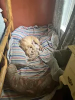 processed/bb4ee086-9f1f-4390-837f-5e771dd9a0fa/facility/aa861062-5362-4c60-a2e8-5890c18525f9