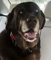 processed/bb4ee086-9f1f-4390-837f-5e771dd9a0fa/facility/d6c97eb2-d50b-4fb9-b7d5-29239a6fed74